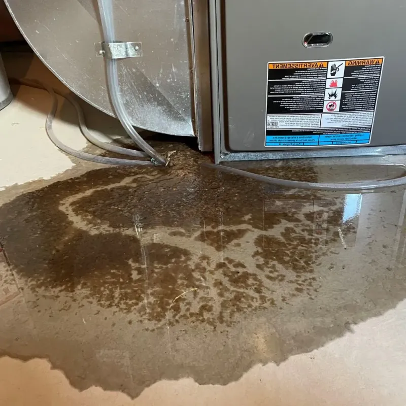 Pipe Burst and Leak Restoration in Rancho Penasquitos, CA